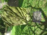 image of grave number 688615
